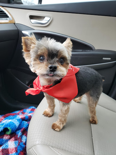 Pet Supply Store «PetSmart», reviews and photos, 200 S Village Center Dr, Southlake, TX 76092, USA