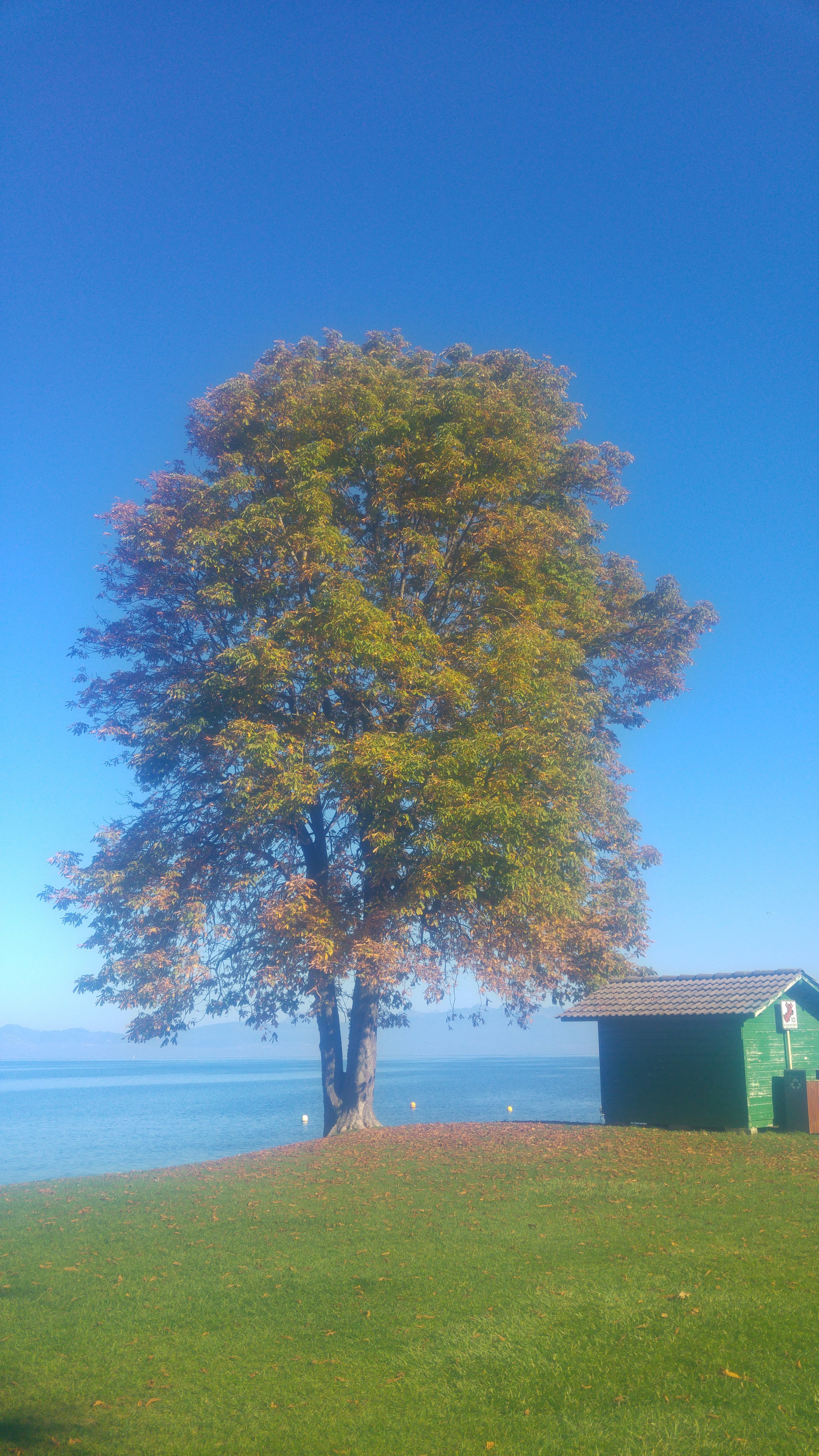 Photo n° 1 de l'avis de J.R.R fait le 10/11/2019 à 22:15