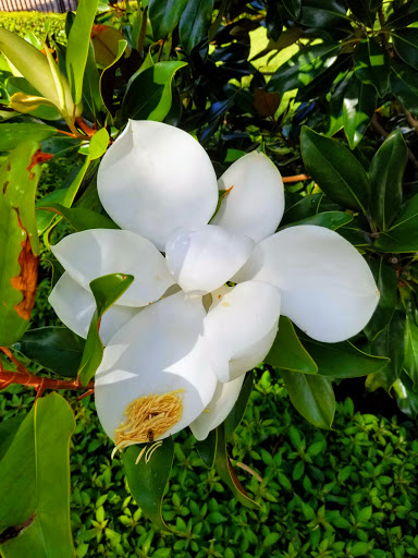 Golf Shop «Loxahatchee Club-Golf Shop», reviews and photos, 1350 Echo Dr, Jupiter, FL 33458, USA