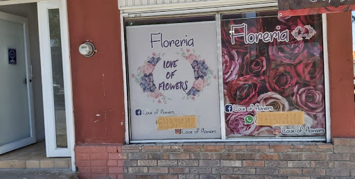 Love of flowers – Torreón