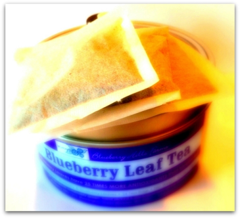 Family Restaurant «Blueberry Hills Farm», reviews and photos, 1315 Washington St, Manson, WA 98831, USA