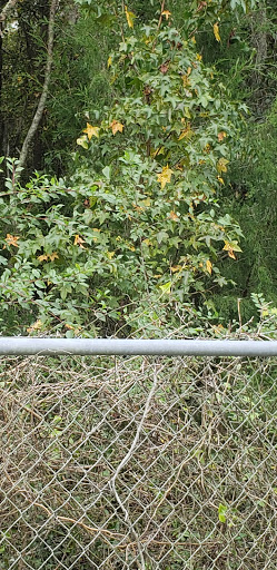 Used Car Dealer «I-75 Autos», reviews and photos, 1518 W US Hwy 90, Lake City, FL 32055, USA