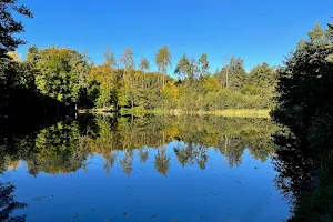 Grünwiesenweiher image