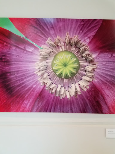 Natural History Museum «Fernbank Museum of Natural History», reviews and photos, 767 Clifton Rd, Atlanta, GA 30307, USA