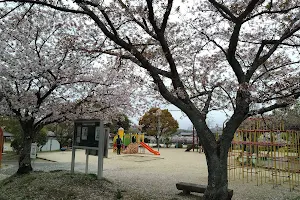 Mayumi Central Park image