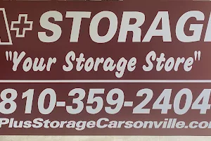 A+ Storage - Carsonville image