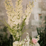 Photo n° 5 de l'avis de timothé.e fait le 01/08/2023 à 20:31 pour Bertin Frederic à Noizay