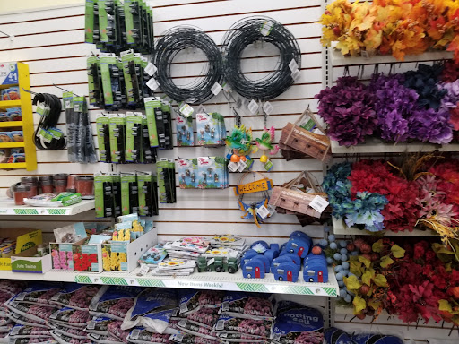 Dollar Store «Dollar Tree», reviews and photos, 376 Main St, Wakefield, MA 01880, USA