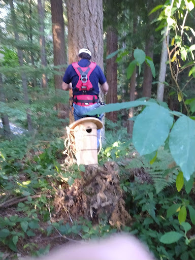 Water Park «Rotary Centennial Water Playground», reviews and photos, 802 E Mukilteo Blvd, Everett, WA 98203, USA