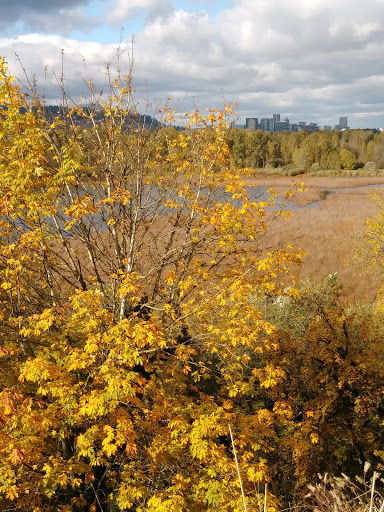 Park «Sellwood Park», reviews and photos, SE Miller St & SE 7th Ave, Portland, OR 97202, USA