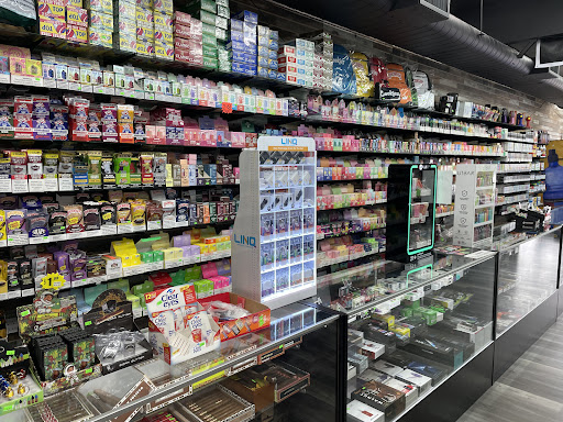 Explore lizard tattoo ideas, creative tattoo ideas in Redwood City, available at Vibes Smoke Shop & Piercing