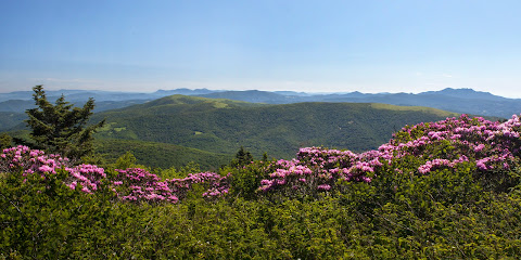Southern Appalachian Highlands Conservancy