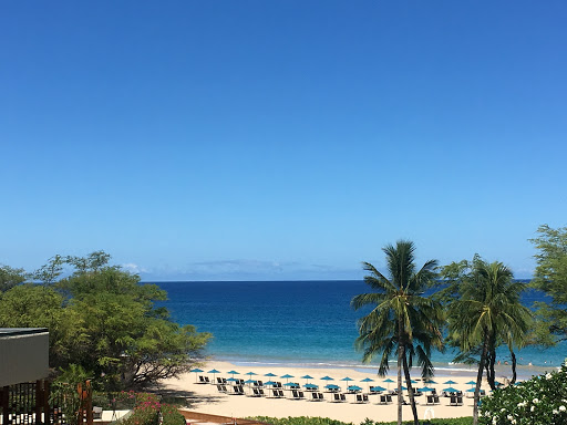 Travel Agency «Hawaiian Travel», reviews and photos, 5005 W Royal Ln #294, Irving, TX 75063, USA