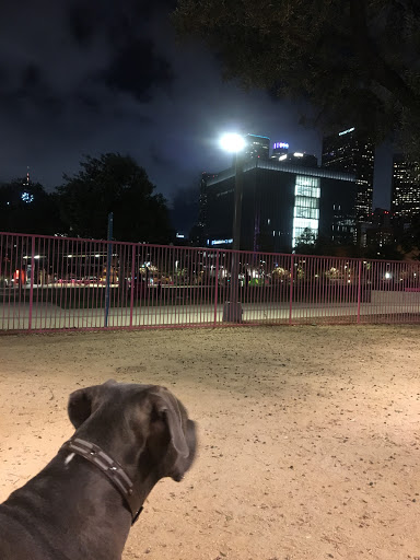 Grand Park- Dog Park