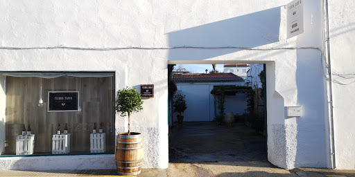 Bodegas Tierra Savia (Bodega, tienda y vinoteca) en Cazalla de la Sierra