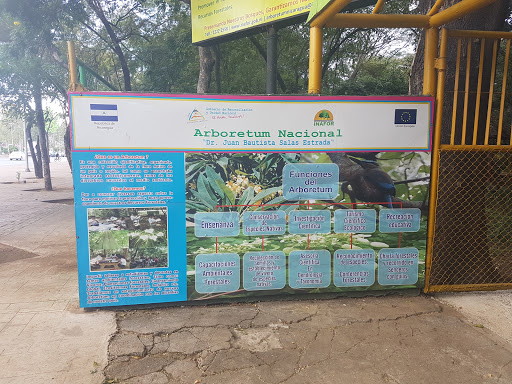 Arboretum Nacional