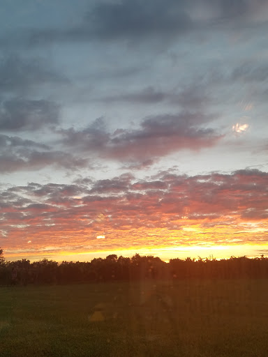 Vineyard «Stone Pillar Vineyard & Winery», reviews and photos, 11000 S Woodland St, Olathe, KS 66061, USA