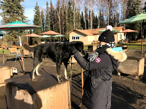 Dry Cleaner «Empire Dry Cleaning», reviews and photos, 15 Maple Ave, Shrewsbury, MA 01545, USA