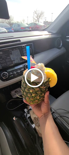 Pet Supply Store «Your Pet Experts», reviews and photos, 1665 State Hill Rd #490, Wyomissing, PA 19610, USA