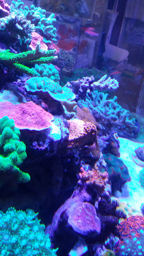 Pet Supply Store «New Wave Aquaria», reviews and photos, 14100 23rd Ave N, Minneapolis, MN 55447, USA