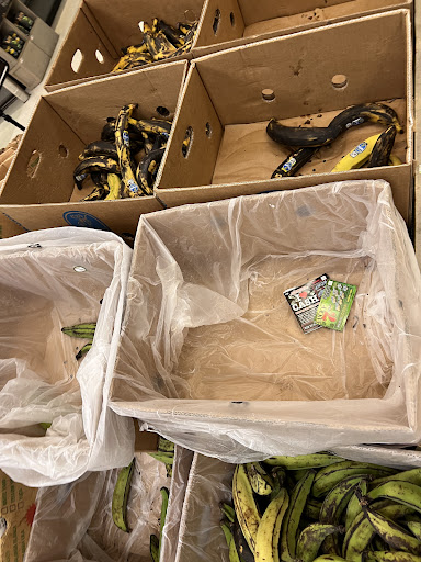 Grocery Store «Stop & Shop», reviews and photos, 460 Blue Hill Avenue, Boston, MA 02121, USA