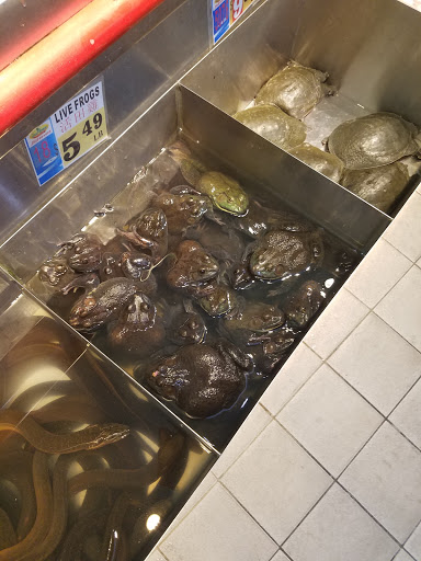 Supermarket «Good Fortune Supermarket», reviews and photos, 25-03 Parsons Blvd, Flushing, NY 11354, USA