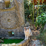 Photo n°2 de l'avis de Simona.o fait le 08/07/2021 à 14:23 sur le  Nuraghe Majori à Tempio Pausania