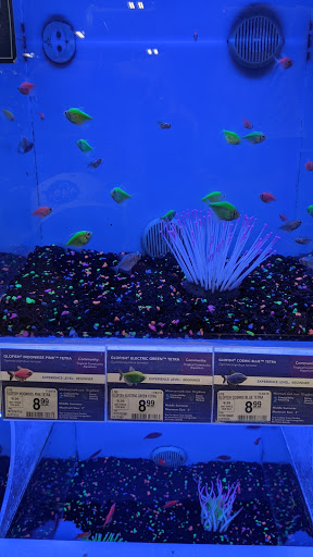 Pet Supply Store «PetSmart», reviews and photos, 32962 FM 2978 Rd, Magnolia, TX 77354, USA