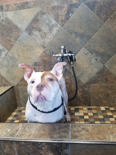 Pet Store «Pet Valu», reviews and photos, 666 Commack Rd, Commack, NY 11725, USA