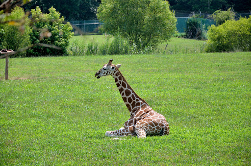 State Park «Cape May Point State Park», reviews and photos, Light House Ave, Cape May Point, NJ 08212, USA