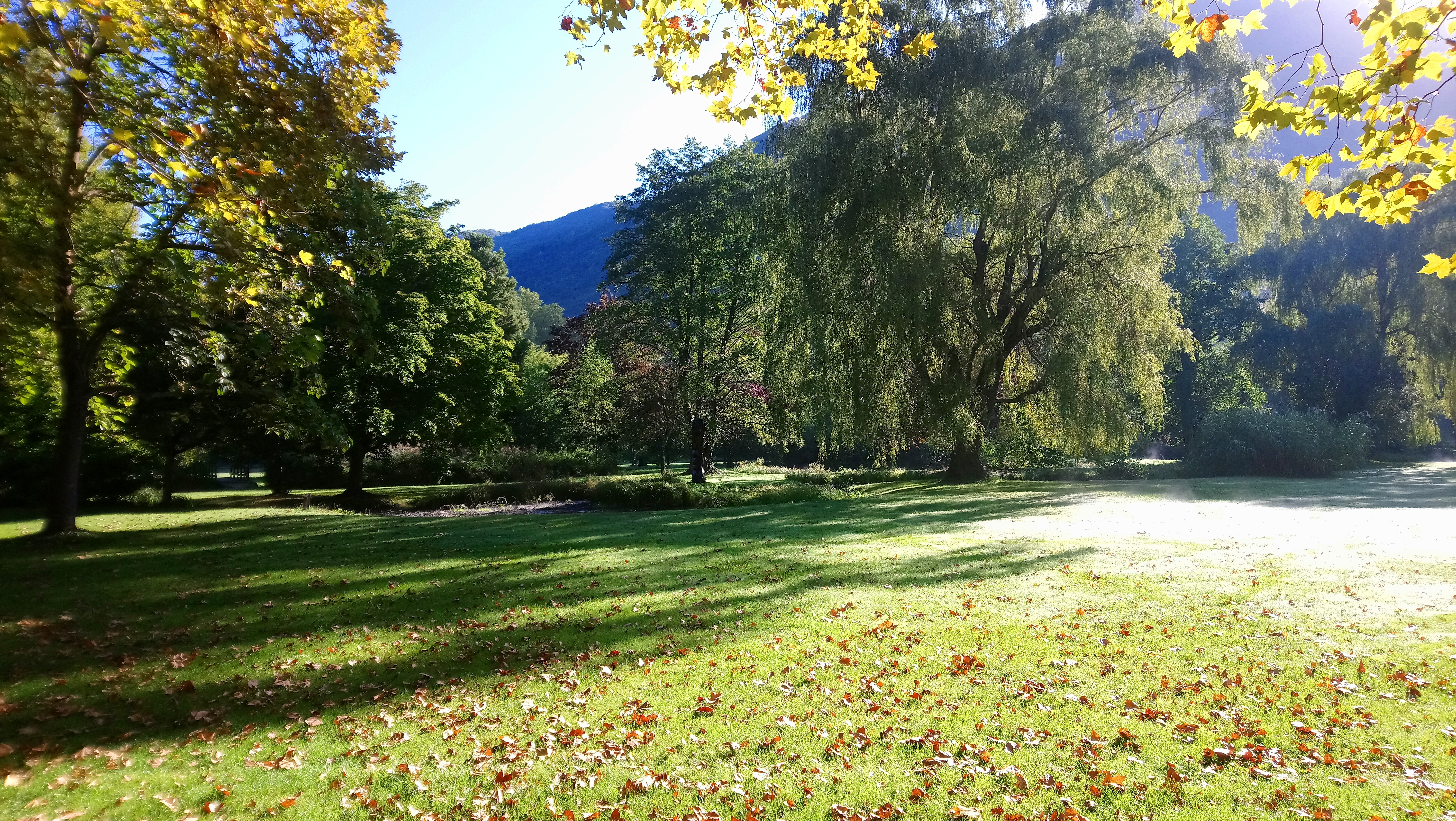 Photo n° 5 de l'avis de Jérôme.o fait le 01/10/2019 à 00:59
