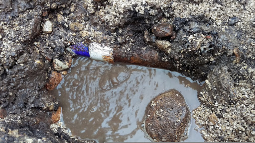 Plumber «Precision Leak Detection», reviews and photos, 955 Curry Rd, Seguin, TX 78155, USA