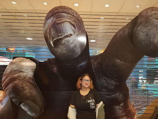 Movie Theater «Rave Cinemas», reviews and photos, 864 Riverdale St, West Springfield, MA 01089, USA