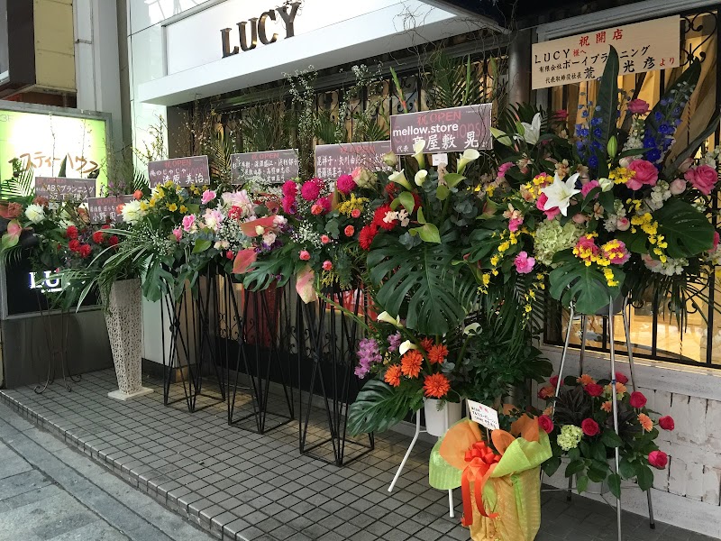 LUCY hair dressing room (ルーシー)