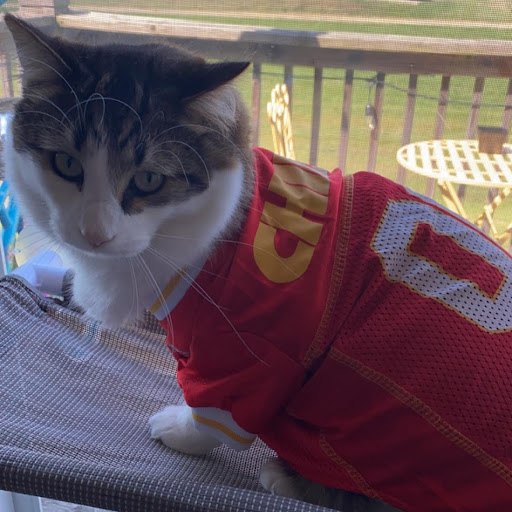 Auto Insurance Agency «Kurt Goeser - State Farm Insurance Agent», reviews and photos