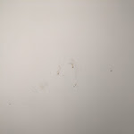 Photo n°2 de l'avis de mo. fait le 04/09/2022 à 15:52 sur le  Hotel INA Boutique 030 Hannover-City à Hanover