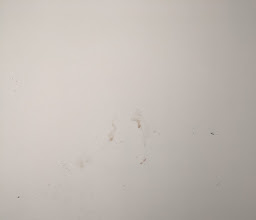 Hotel Boutique 030 Hannover City by INA photo