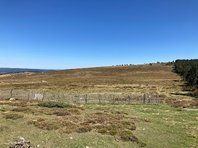 Mont Lozère à Pont-de-Montvert-Sud-Mont-Lozère