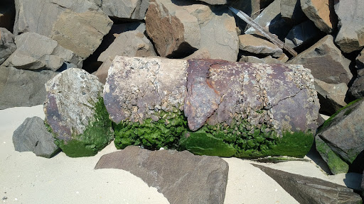 Campground «Camp Gateway - Sandy Hook», reviews and photos, 26 Hudson Rd, Highlands, NJ 07732, USA