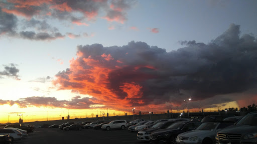 Auto Auction «Manheim California», reviews and photos, 1320 N Tustin Ave, Anaheim, CA 92807, USA