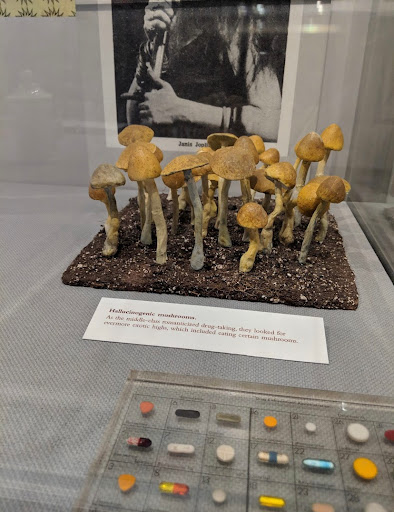 Museum «DEA Museum & Visitors Center», reviews and photos, 700 Army Navy Dr, Arlington, VA 22202, USA