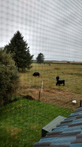 Hotel «Shilo Inn Hotel», reviews and photos, 1609 E Harbor St, Warrenton, OR 97146, USA