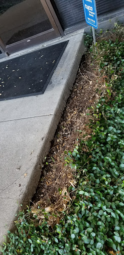 Electrical Supply Store «CED», reviews and photos, 11560 Hillguard Rd, Dallas, TX 75243, USA