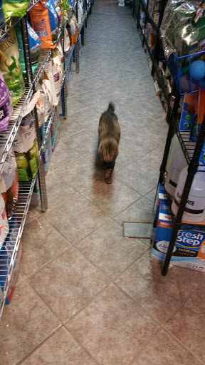 Pet Store «Pets On the Run», reviews and photos, 2920 Hoyt Ave S, Astoria, NY 11102, USA