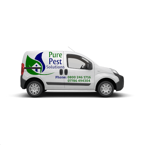 Pure Pest Solutions