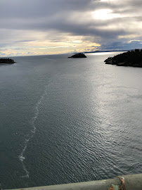 Clypeus Pest Solutions LLC - Photo 9 - Car repair in , Bellingham