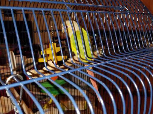 Pet Supply Store «Petco Animal Supplies», reviews and photos, 1320 Lincoln Way E #20, Chambersburg, PA 17202, USA