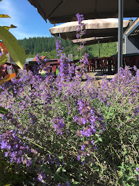 Photos du propriétaire du Restaurant Auberge Des Trois Clochers à Saint-Léger-la-Montagne - n°13