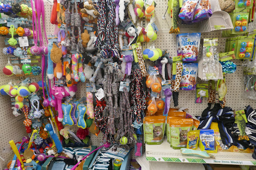 Dollar Store «Dollar Tree», reviews and photos, 950 American Legion Hwy, Boston, MA 02131, USA