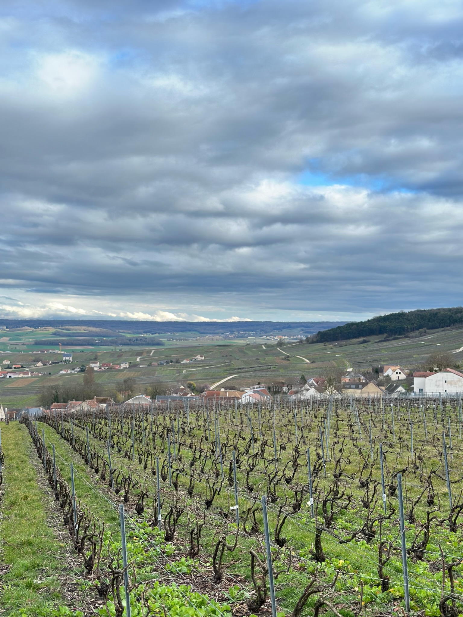 Photo n° 1 de l'avis de Hillery.o fait le 26/03/2023 à 21:41